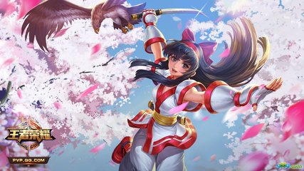 体育网站官网入口app